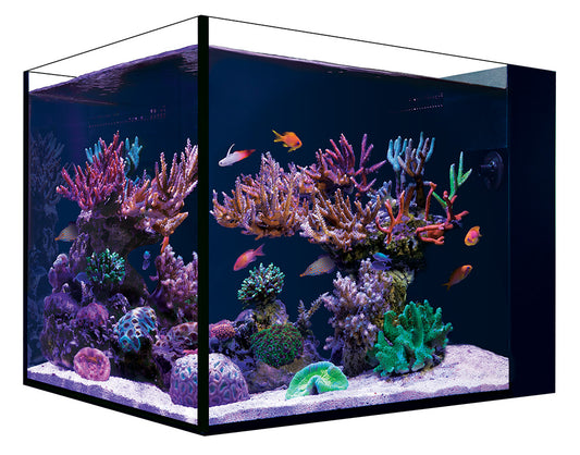Red Sea Peninsula aquarium showing rear filtration chamber and return pump compartment