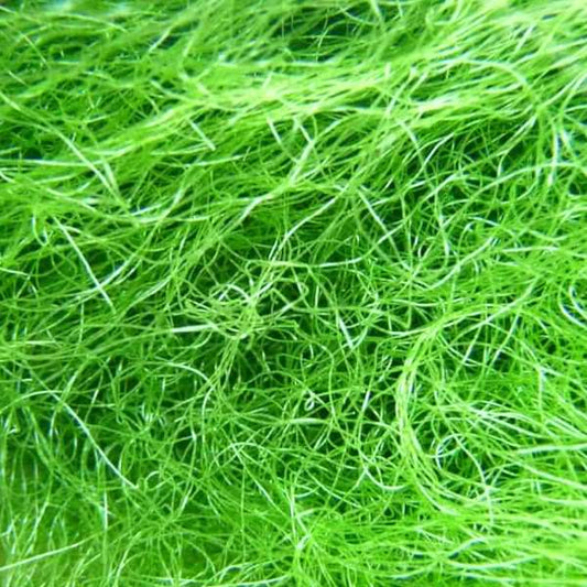 Chaetomorpha macro algae for refugiums and nutrient export in reef aquariums