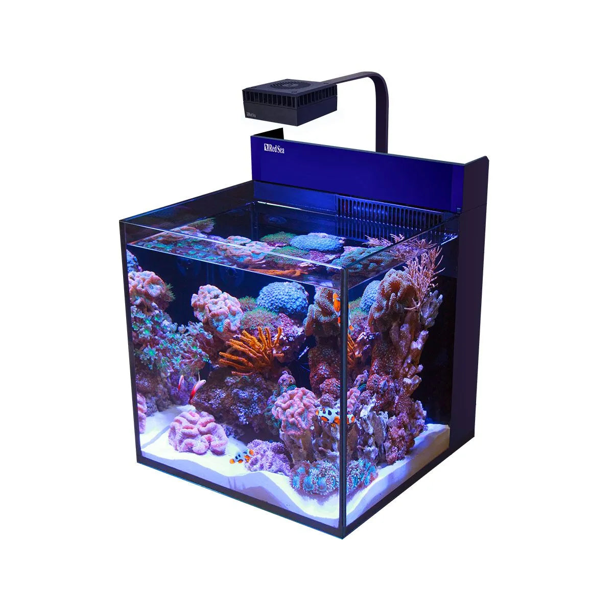 Red Sea MAX Nano Cube G2 – WiFi ReefLED 60 lighting close-up