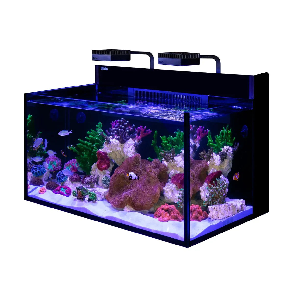 Red Sea MAX Nano G2 XXL Aquarium Front View – Tank Only