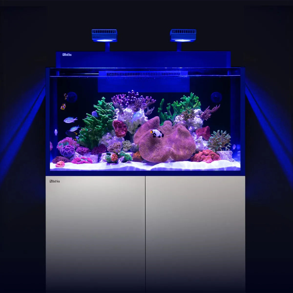 Ultra-Clear Glass Display of Red Sea MAX Nano G2 XXL