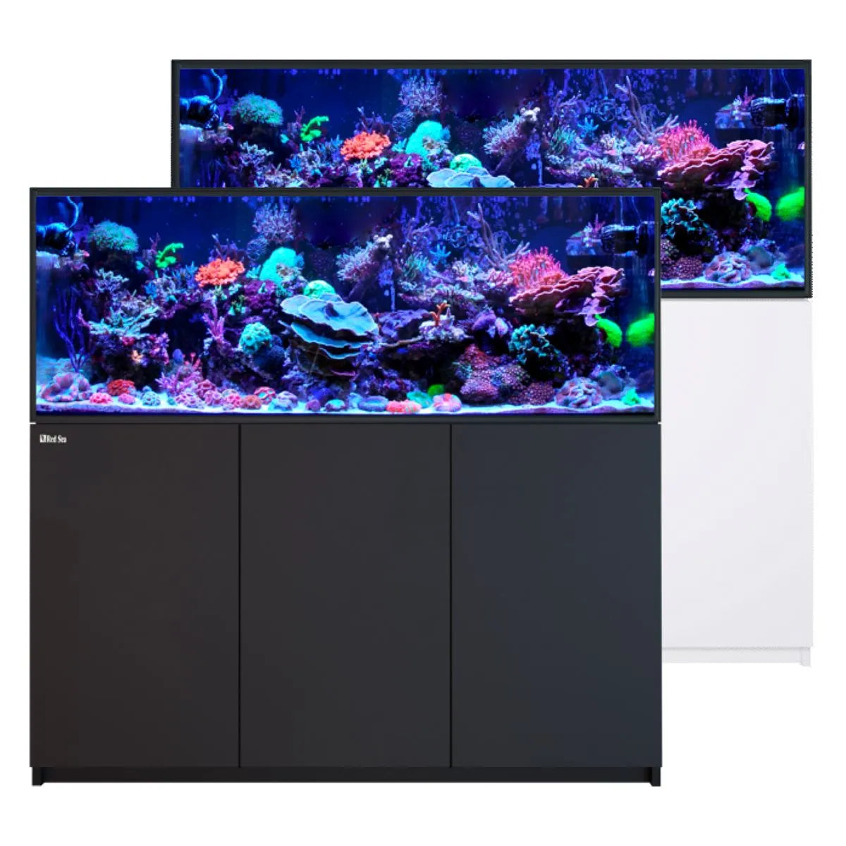 Ultra-clear glass display of REEFER 525 G3