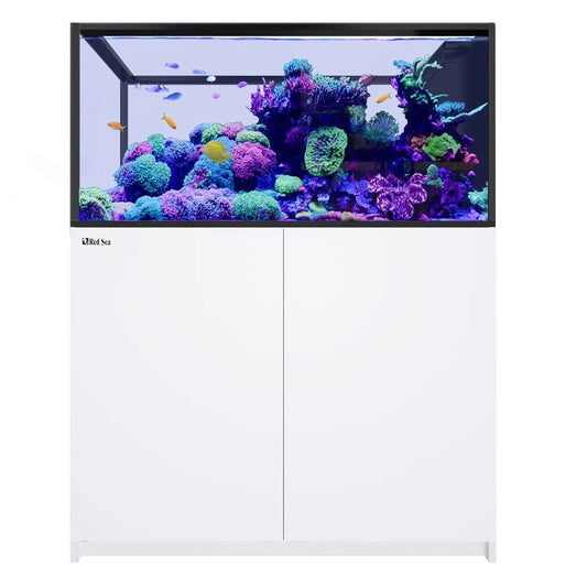 Red Sea REEFER Peninsula 500 G3 dual-view aquarium
