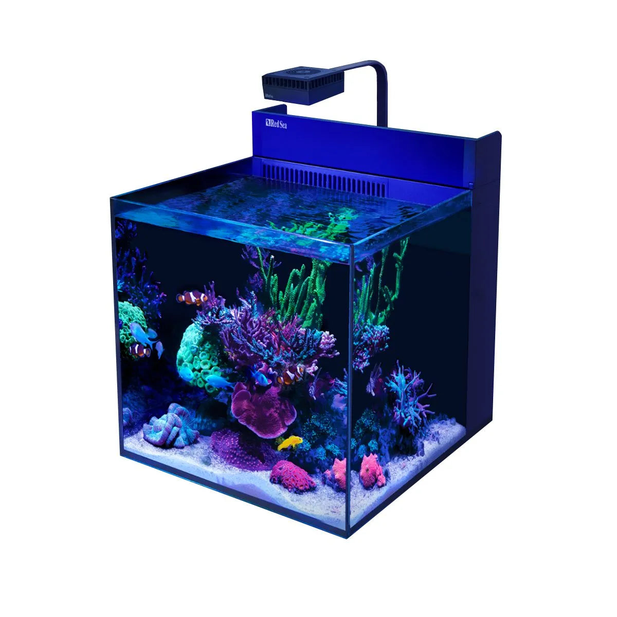 Red Sea MAX Nano XL G2 Reef System – Tank Only Front View